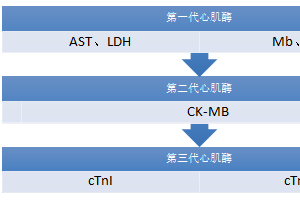 心肌酶、心梗三项报告简要解读