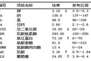 糖尿病伴有低钾还是高钾血症？你认真想过吗？