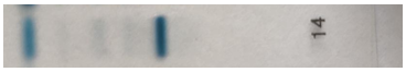 9.png