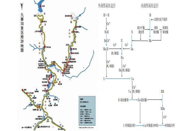 带你游九寨，轻松记住凝血瀑布学说