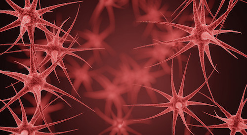 神经系统自身免疫病相关自身抗体谱检测技术与临床诊疗思路