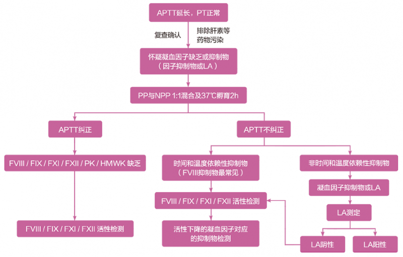 周洲-图2