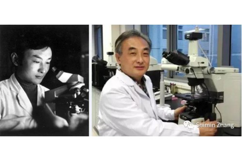 检验大咖自白 | 40年，个人的一小步检验医学的一大步