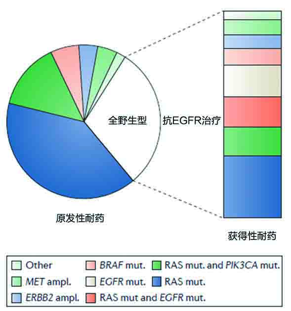 结肠直肠癌共识分子亚型和精准医疗进展