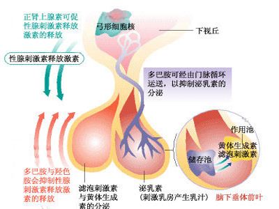 性别 男，β-HCG“阳性”