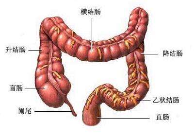 年轻结肠直肠癌患者的一般基因检测