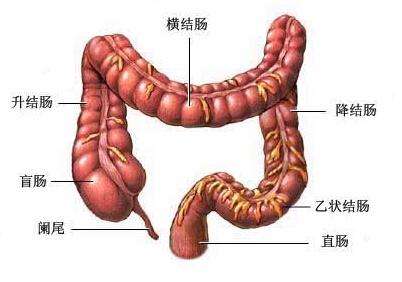 年轻结肠直肠癌患者的一般基因检测