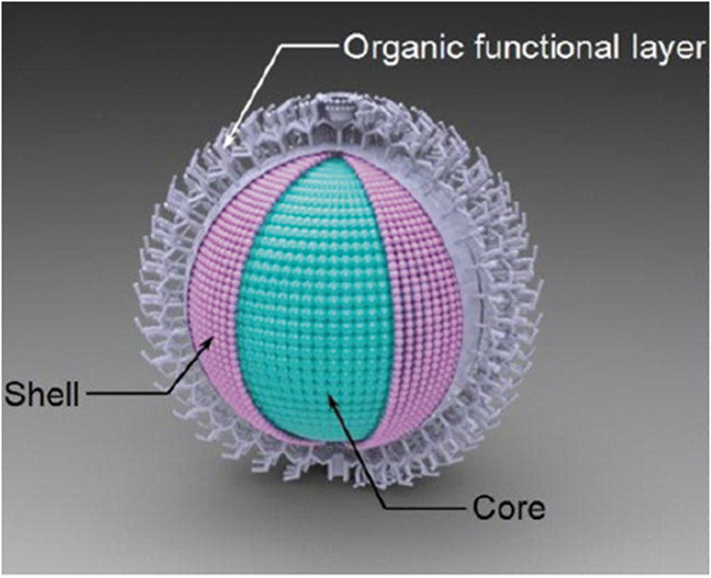 量子点及其在生物医学特别是体外诊断领域的应用