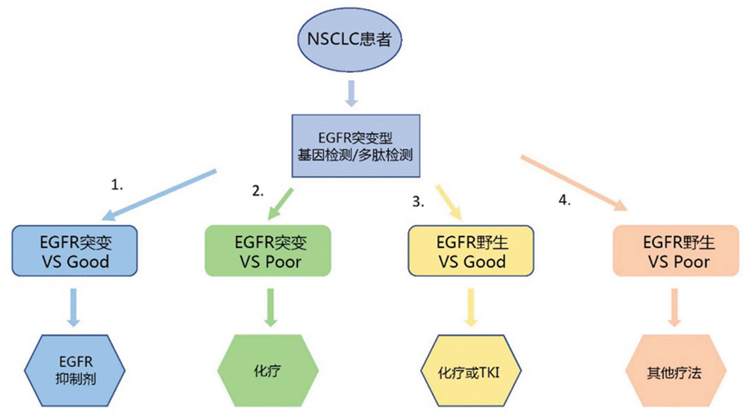 蛋白多肽质谱指纹图谱的医学用途