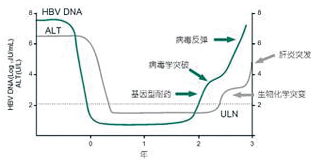 应用临床质谱技术进行乙肝耐药检测