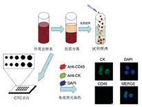 CellRichTM循环肿瘤细胞检测系统 ——从试管到微芯片的新型液体活检平台