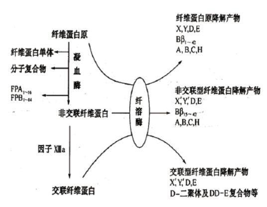 免疫热点问与答