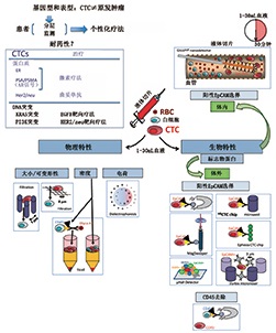 循环肿瘤细胞检测技术的 现状和前景