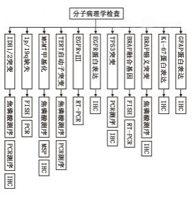 中国中枢神经系统胶质瘤诊断 与治疗指南（2015） ——检验部分