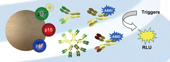 新一代梅毒检测试剂 在BIO-FLASH全自动化学发光分析仪上的性能评估