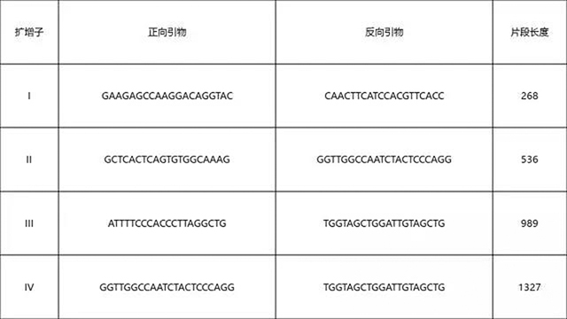 西班牙肾脏病研究系统(REDinREN)生物样本库样本质量保证(QA)与处理过程