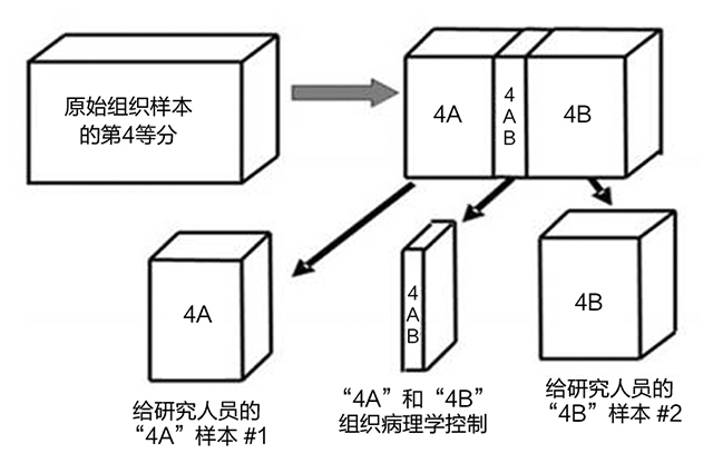 生物样本库的质量管理