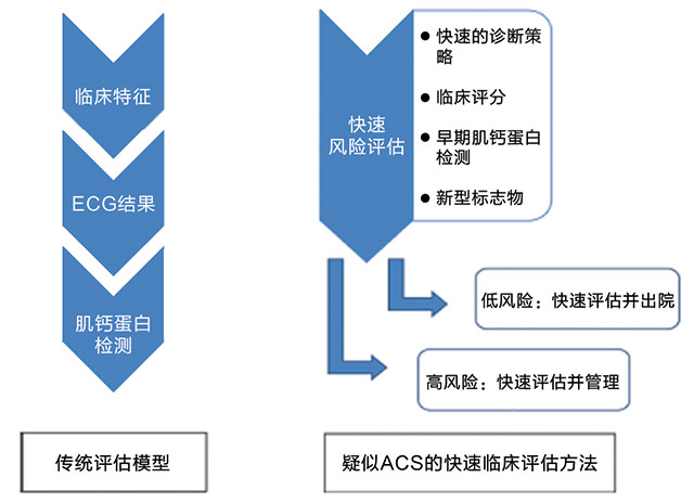 心肌梗死的早期排除和诊断策略