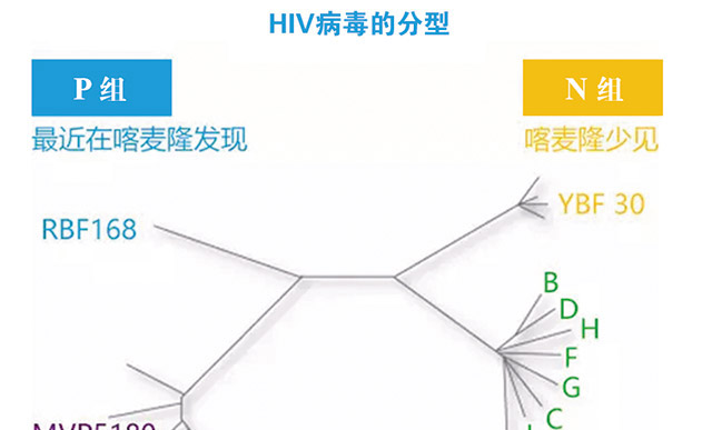 紧跟HIV病毒变异的步伐