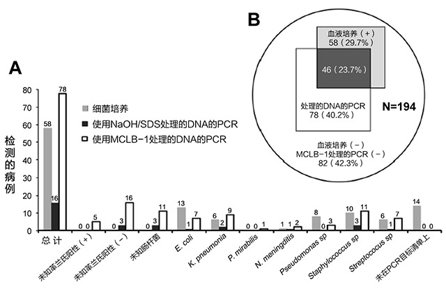 用于血流感染诊断的浓缩细菌DNA