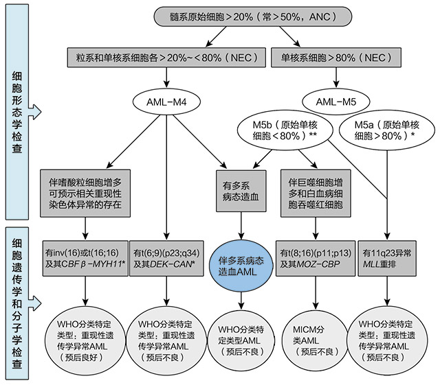 白血病基因诊断