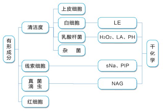 全自动妇科分泌物检测介绍