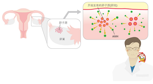 我的人生，我做主 ——贝克曼库尔特关爱女性卵巢健康