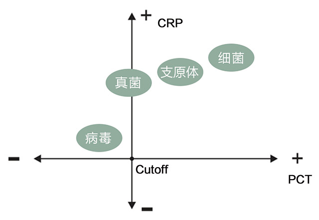 CRP、PCT联合血常规检测辅助诊断细菌感染和指导抗生素合理使用