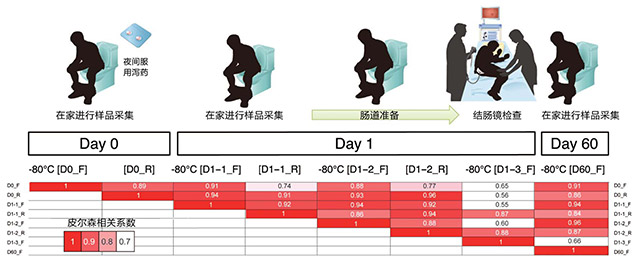 室温下硫氰酸胍溶液内粪便微生物群的高稳定性和结肠镜检查期间的鲁棒性