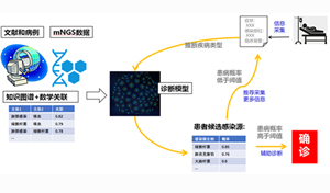 知识图谱在mNGS辅助诊断中的应用