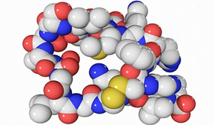 溶血和生物素对心脏肌钙 蛋白和利钠肽的分析干扰