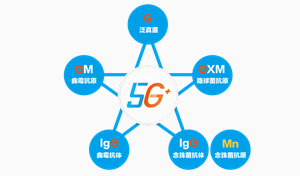 新型冠状病毒患者合并真菌感染应予以高度重视