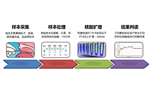 抗击疫情新武器：MPA技术在新型冠状病毒快速精准核酸检测中的应用价值