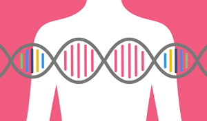 家族遗传性乳腺癌BRCA2突变和林奇综合征MSH6突变检测的家系分析