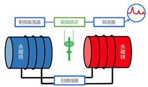 核磁共振波谱检测技术在临床医学中的应用