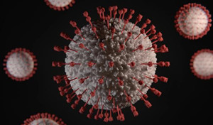 新型冠状病毒及其分子生物学诊断新技术