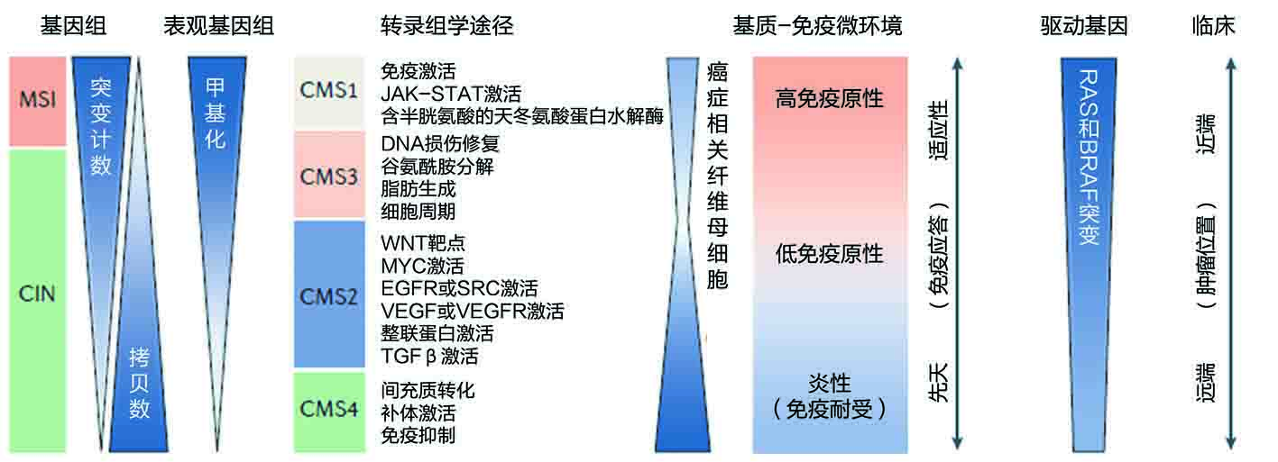 技术导航1-图1.jpg