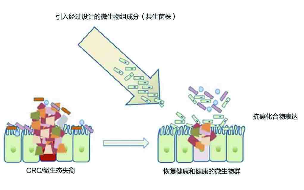 技术导航3-图1.jpg