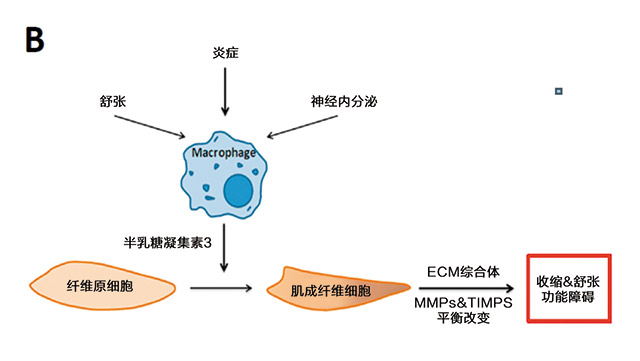 技术导航-2-图1B.jpg