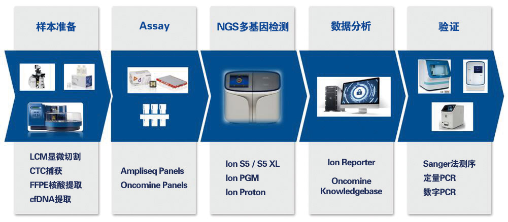 图2-ThermoFisher基因检测完整解决方案-样本至报告标准流程.jpg