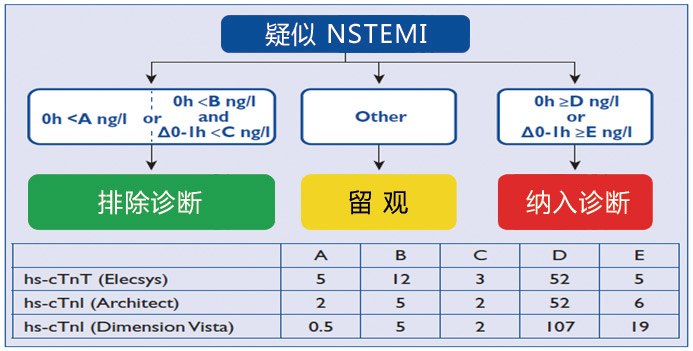 高敏肌蛋白-1.jpg