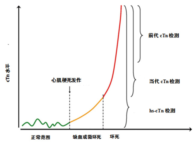 高敏肌蛋白-2.jpg