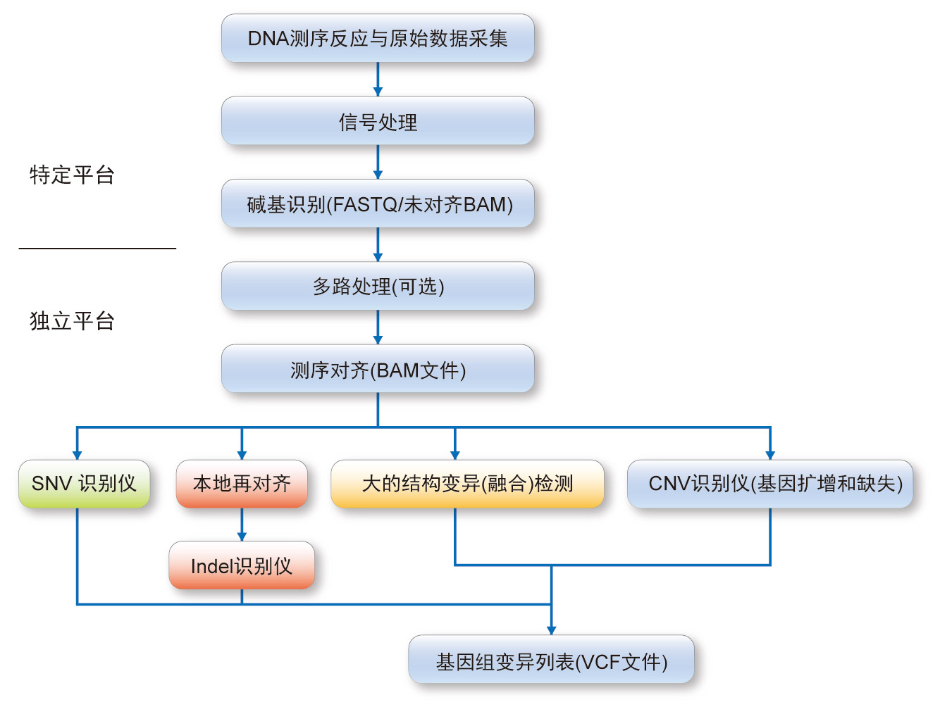 图1-NGS检测生物信息学工作流程的一般模式.jpg