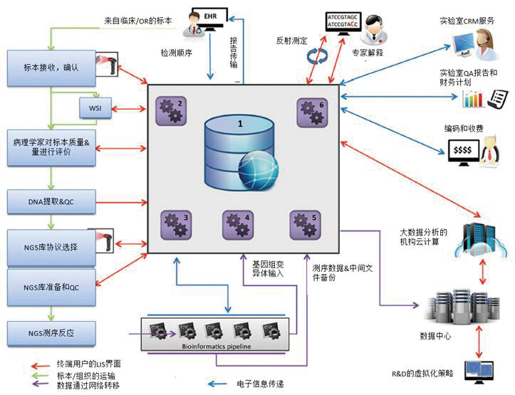 图2-NGS临床信息学工作流程.jpg