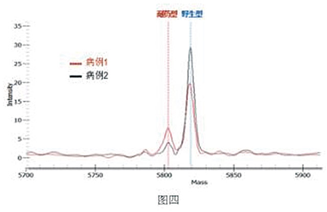 毅新博创-4.jpg