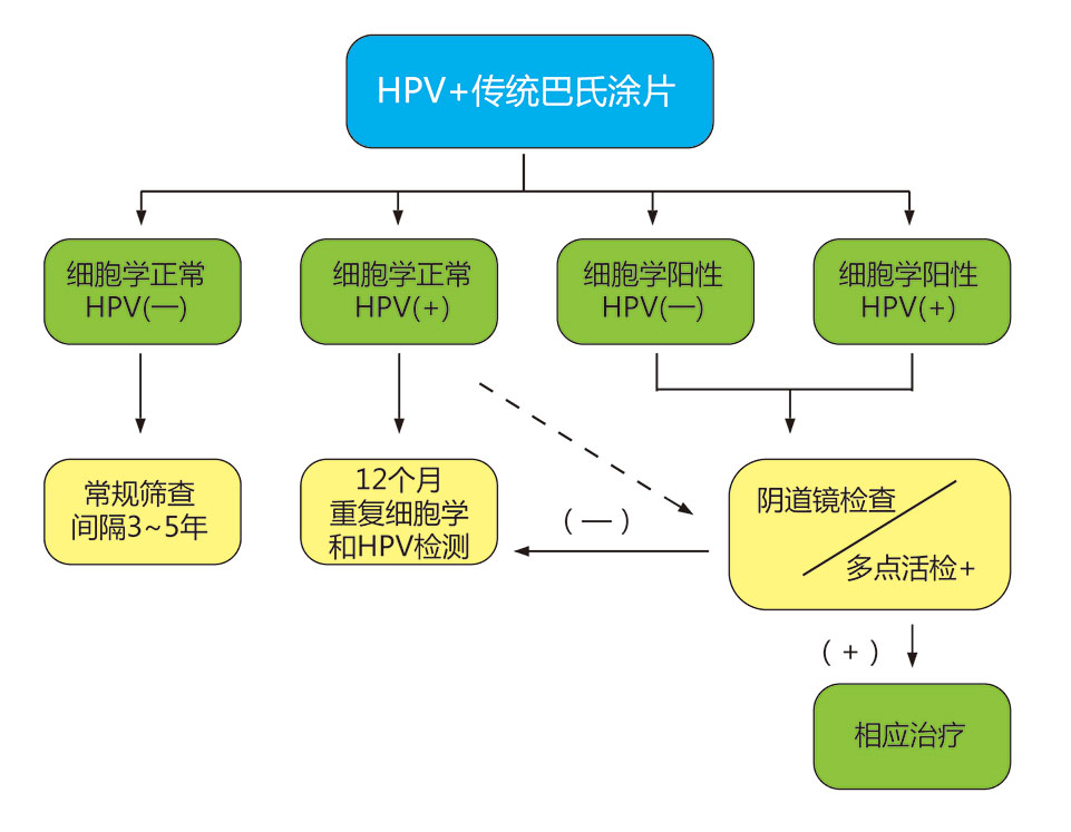 HPV+传统巴氏涂片.jpg