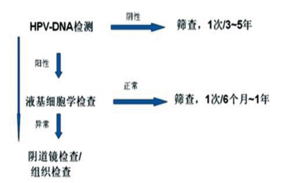 Clinical-Lab_Review_HPV与宫颈癌_V05B-9.jpg