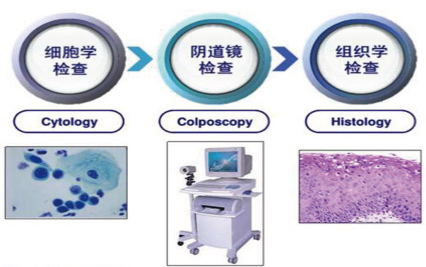 Clinical-Lab_Review_HPV与宫颈癌_V05B-10.jpg