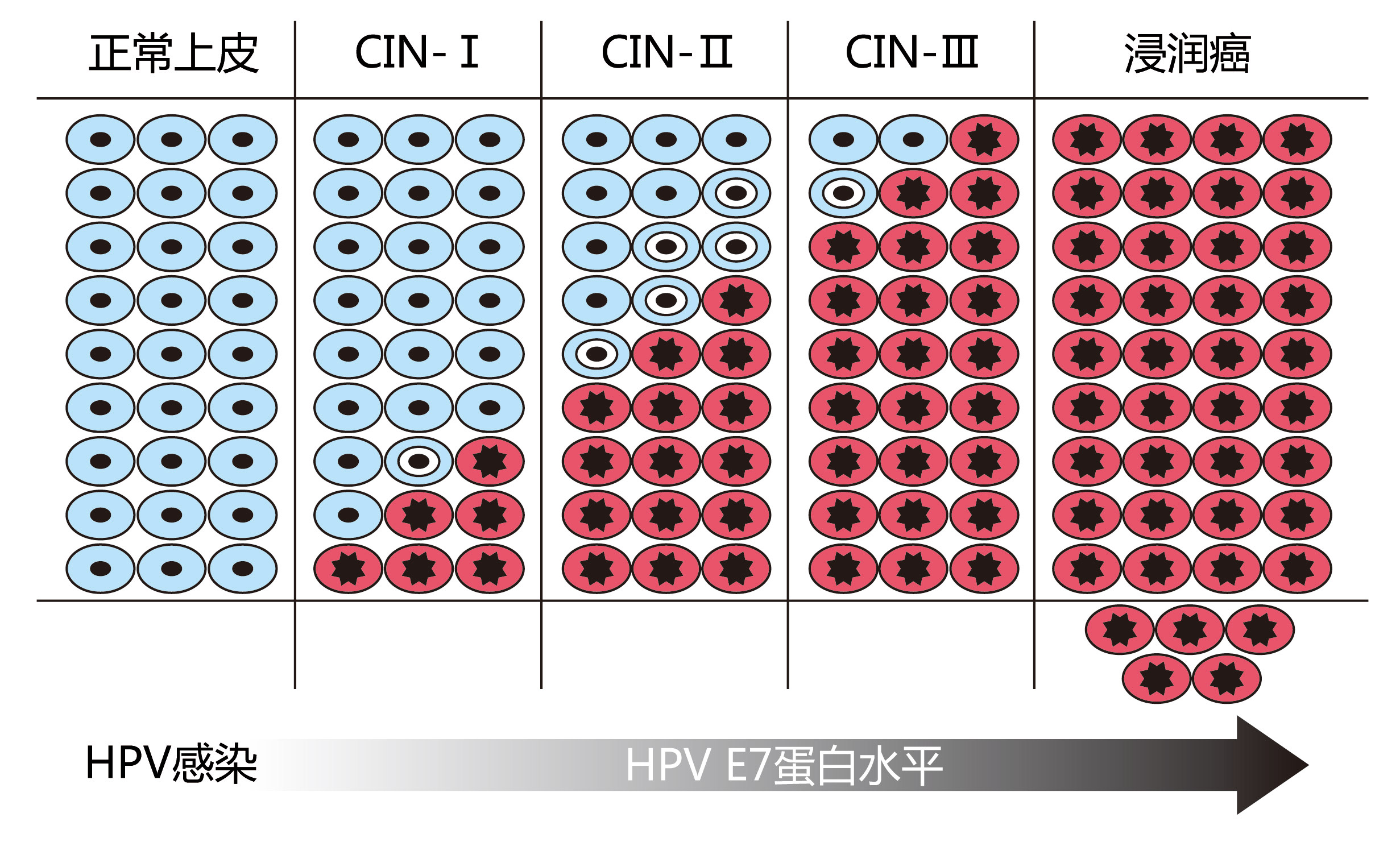 癌-1.jpg