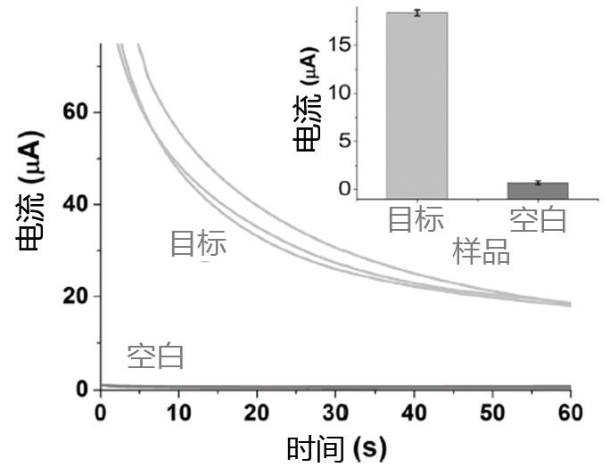 高危人乳头瘤病毒DNA电化学芯片地磁检测试验-2.jpg